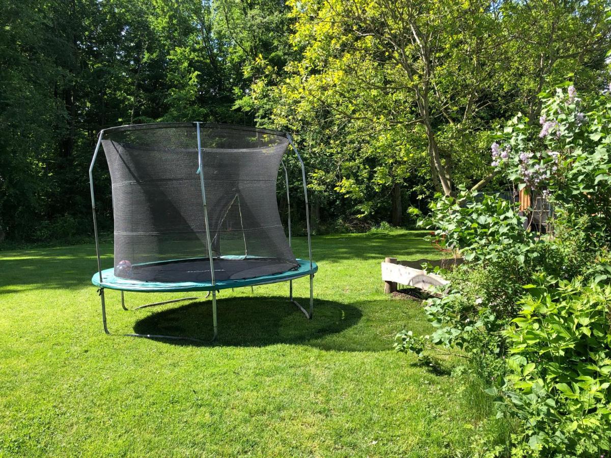 Ferienwohnung Am Waldrand Mit Sauna Biendorf Εξωτερικό φωτογραφία